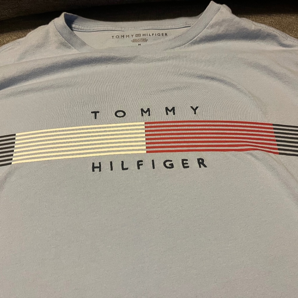 Tommy Hilfiger mens designer t-shirt. Baby blue. Medium.